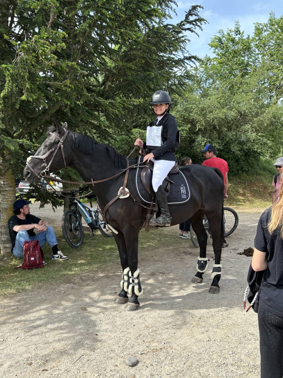 Castrone PFS Pony Francese da Sella In vendita 2011 Nero ,  HILKENS BLACK DELIGHT