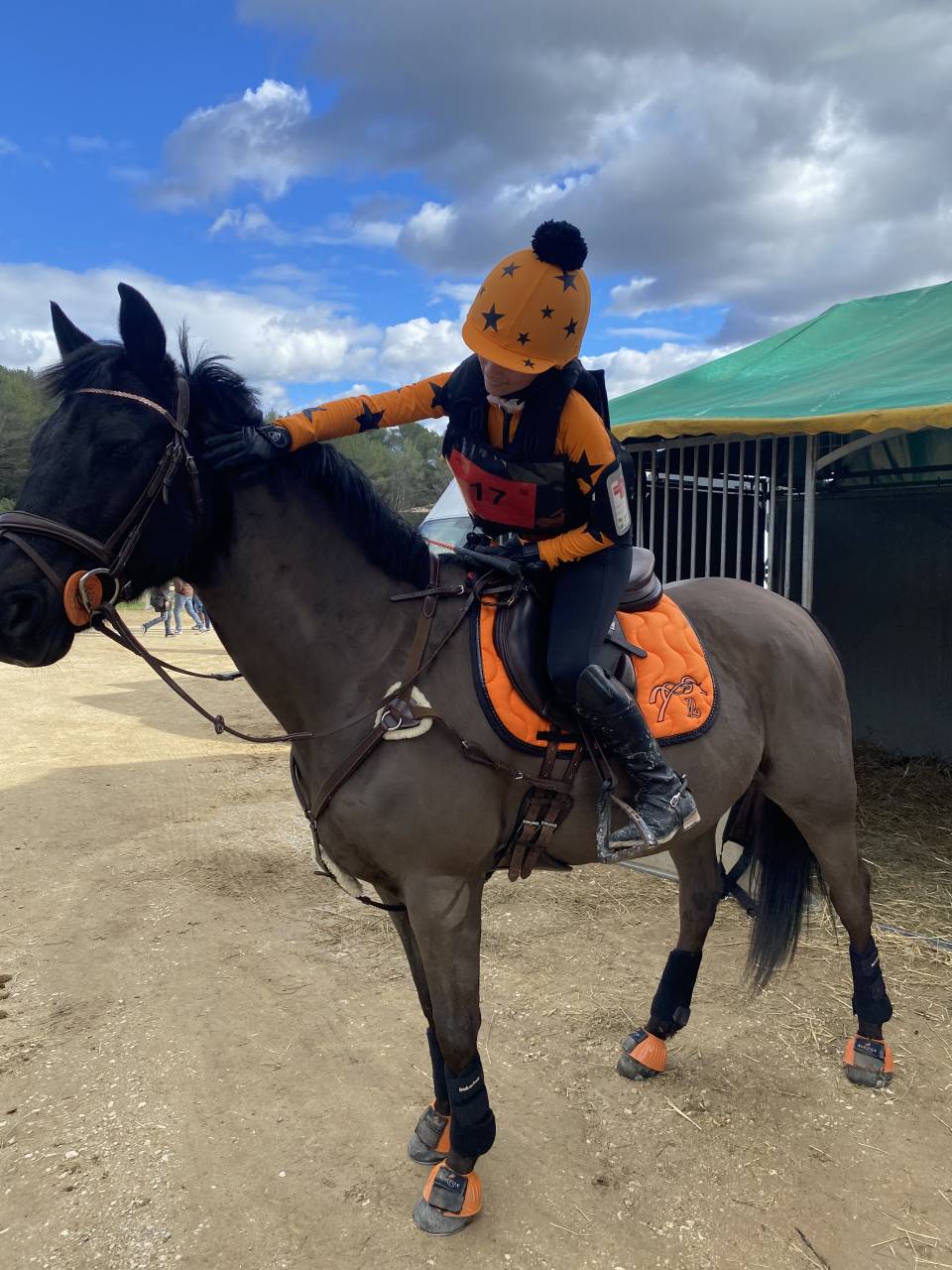 Castrone PFS Pony Francese da Sella In vendita 2011 Nero ,  HILKENS BLACK DELIGHT