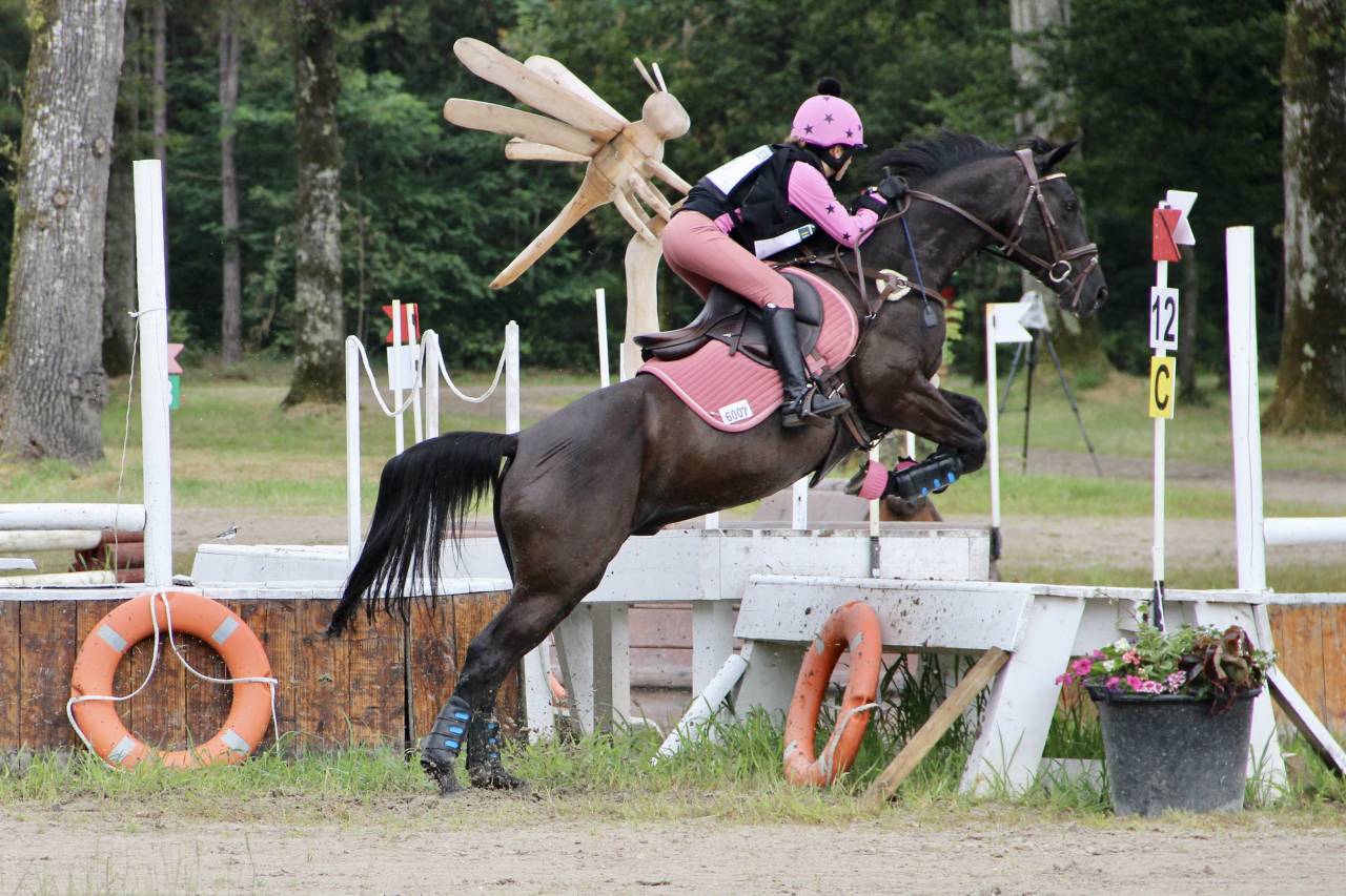 Castrone PFS Pony Francese da Sella In vendita 2011 Nero ,  HILKENS BLACK DELIGHT