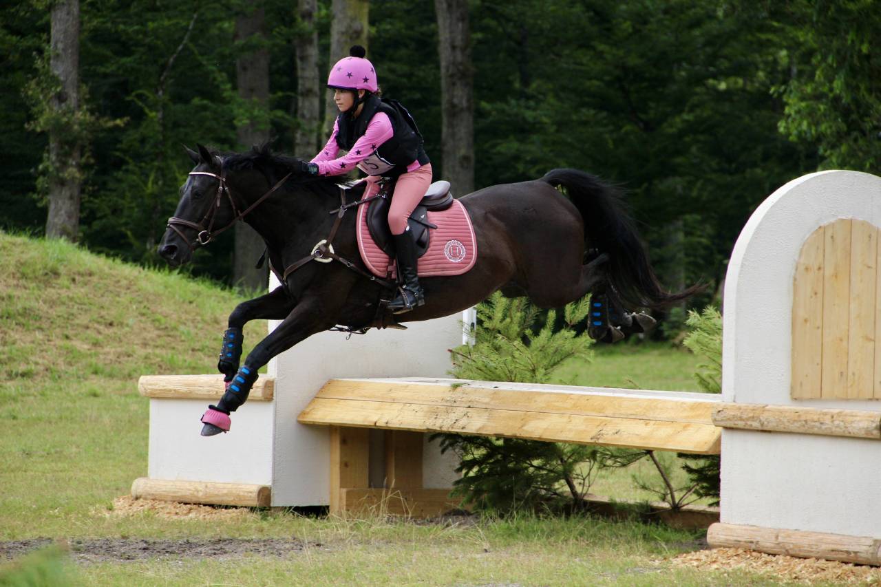 Castrone PFS Pony Francese da Sella In vendita 2011 Nero ,  HILKENS BLACK DELIGHT