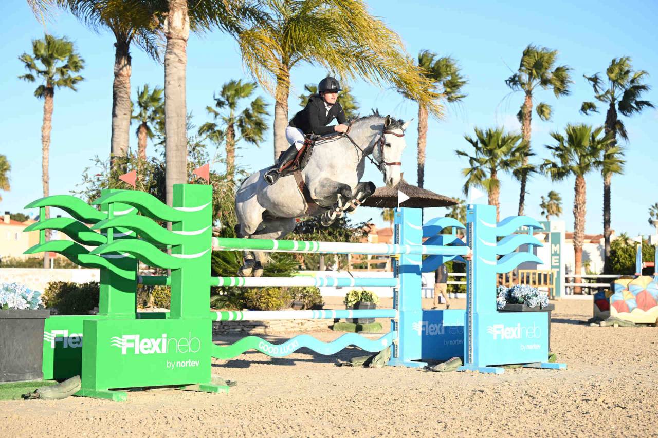 Intero Sella Francese In vendita 2017 Grigio ,  DIAMANT DE SEMILLY