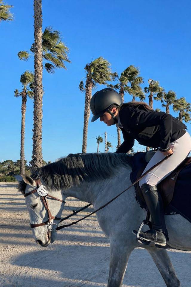 Intero Sella Francese In vendita 2017 Grigio ,  DIAMANT DE SEMILLY