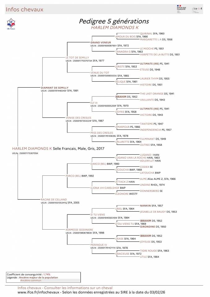 Intero Sella Francese In vendita 2017 Grigio ,  DIAMANT DE SEMILLY