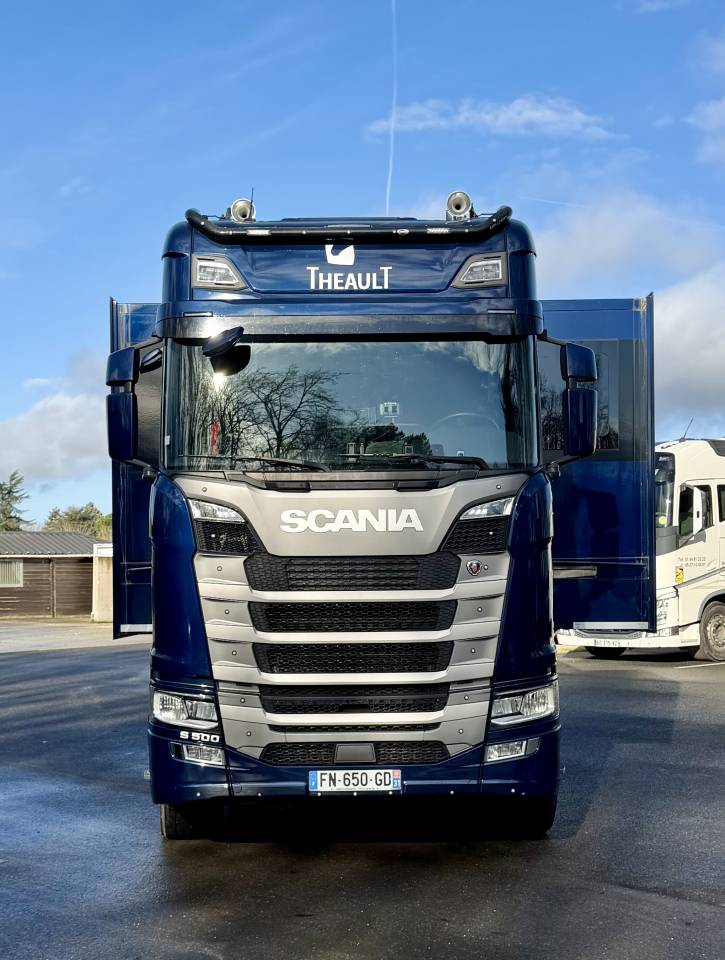 Camion per Cavalli Theault Elegance 2019 Occasione
