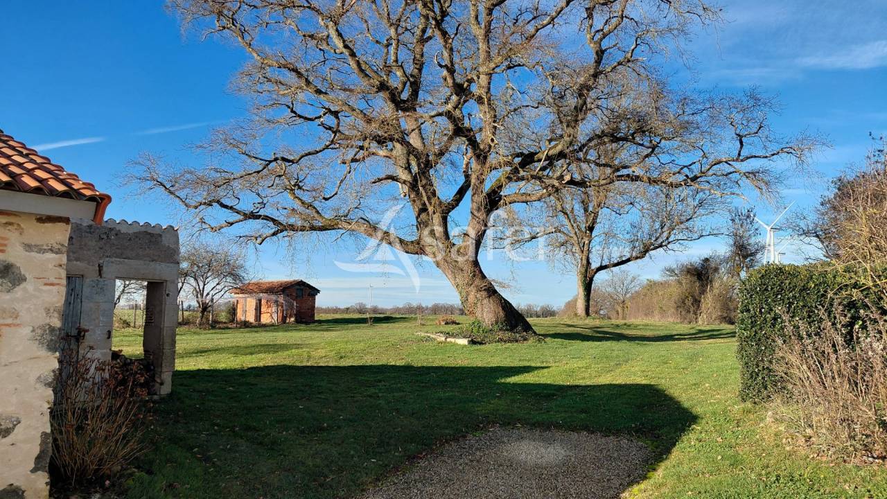 Azienda agricola In vendita Vienne