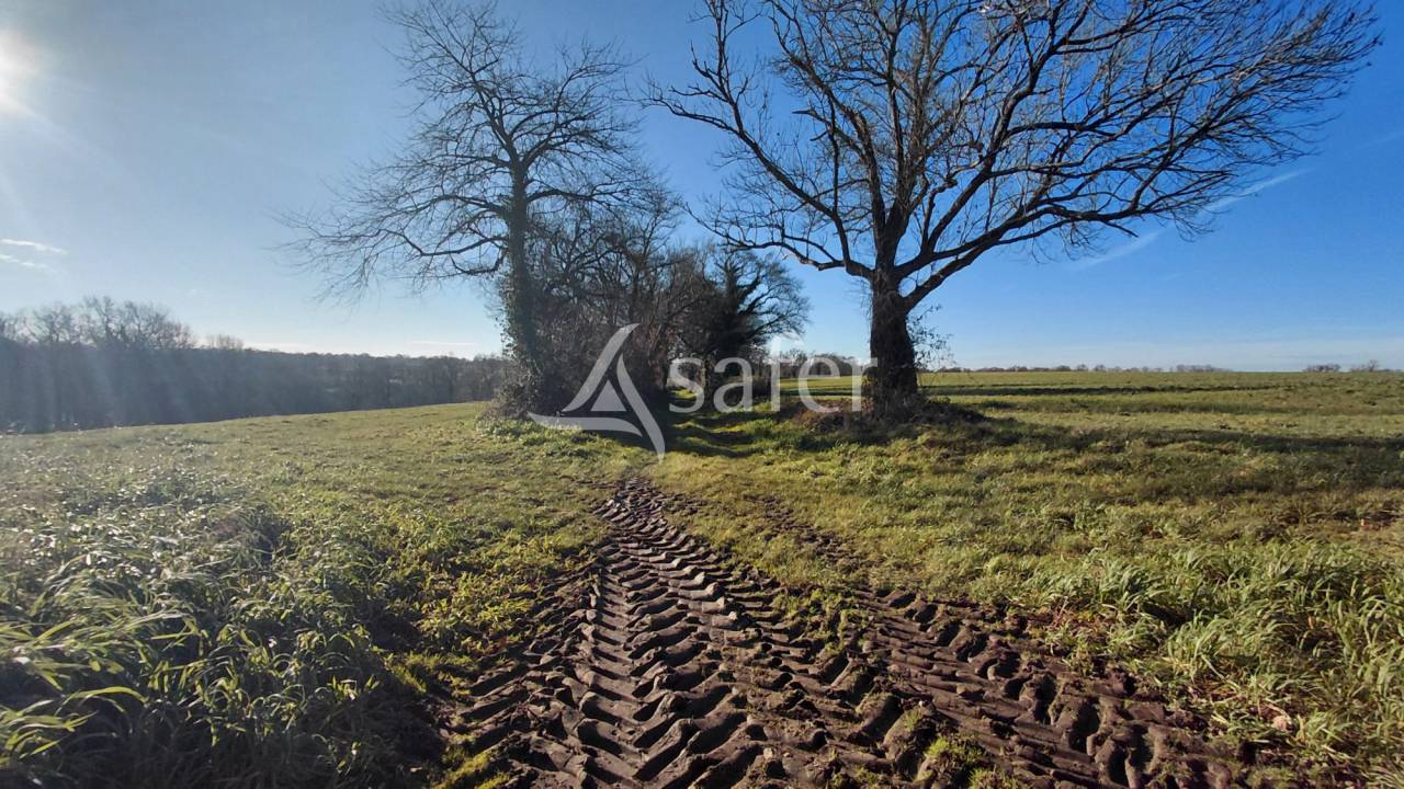 Azienda agricola In vendita Vienne