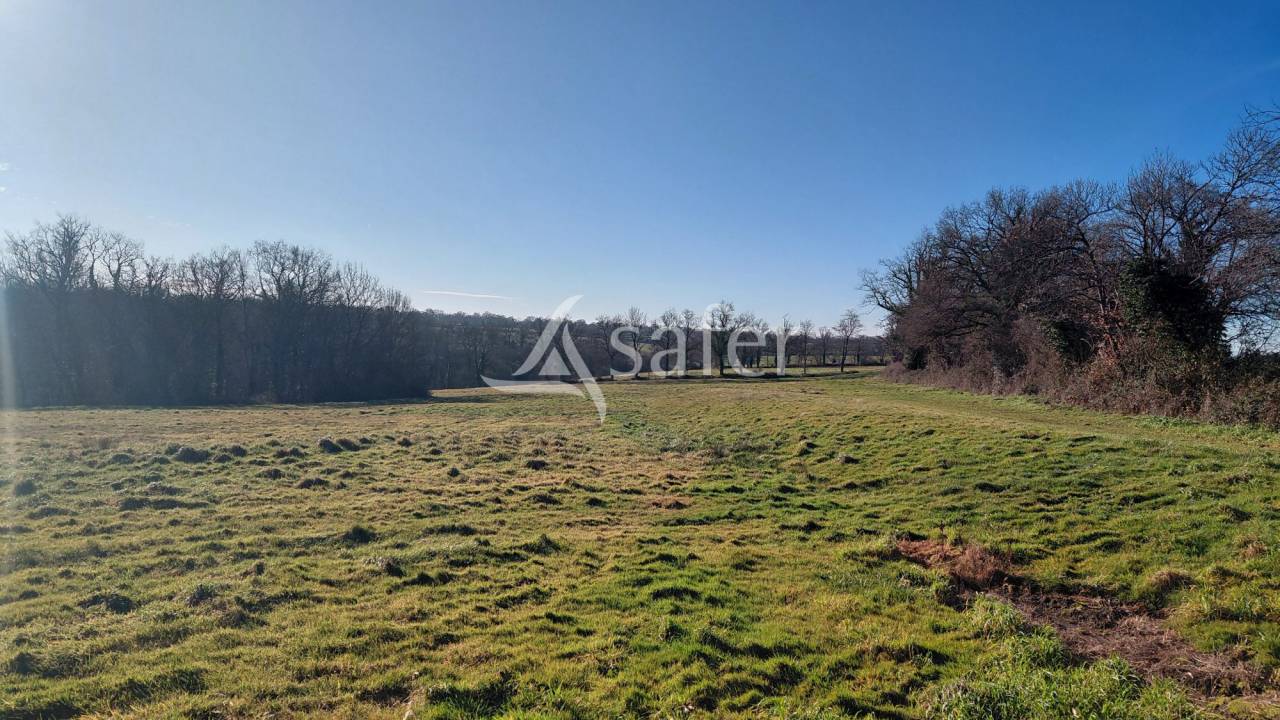 Azienda agricola In vendita Vienne