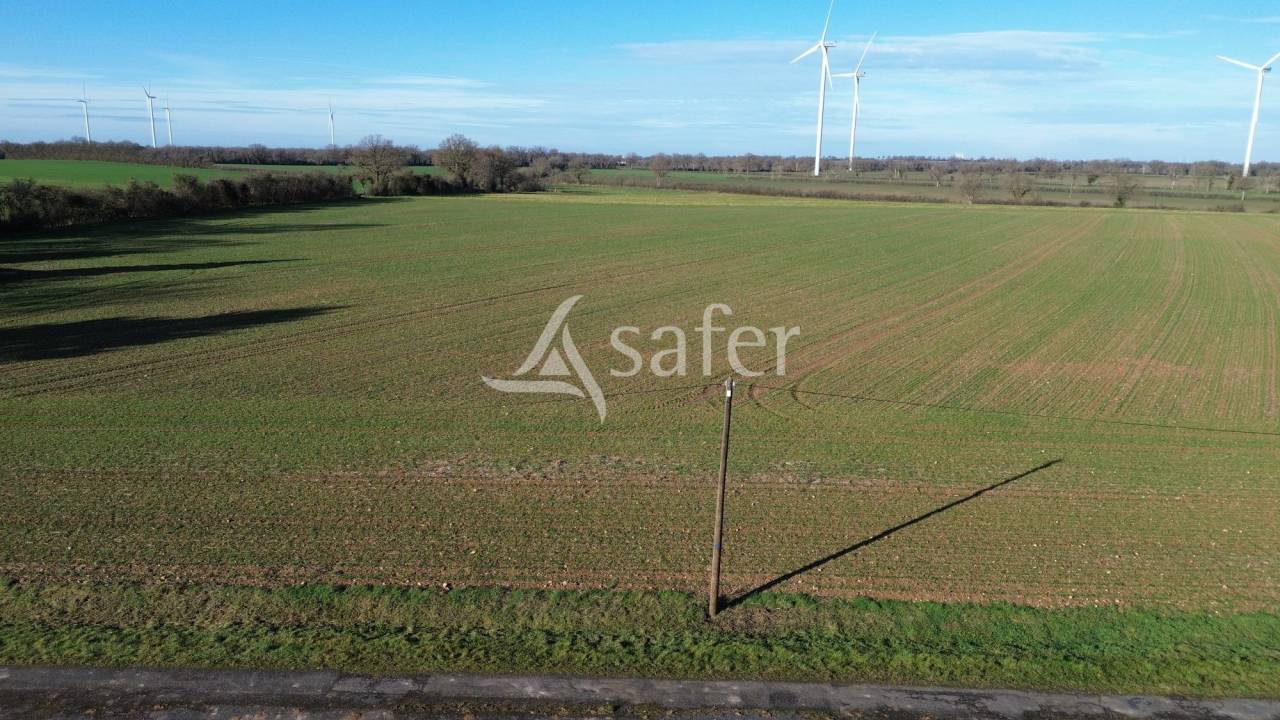 Azienda agricola In vendita Vienne