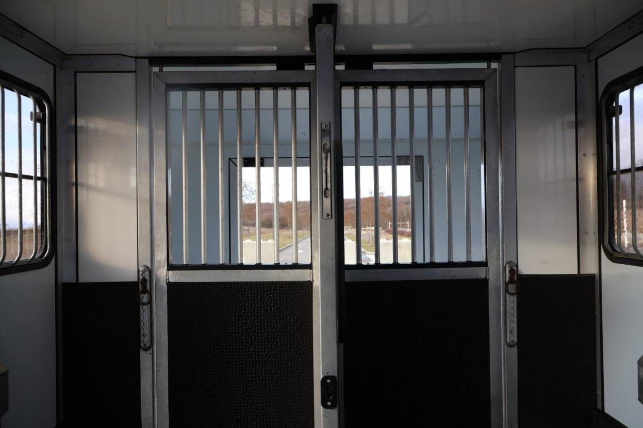 Van per Cavalli Cavalcar MASTER CAVALCAR 2022 Occasione