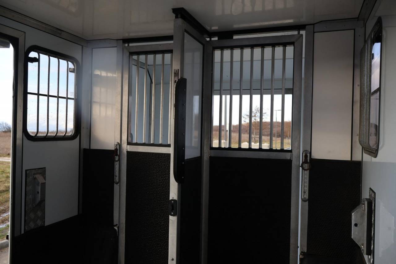 Van per Cavalli Cavalcar MASTER CAVALCAR 2022 Occasione