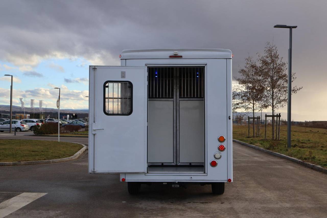 Van per Cavalli Cavalcar MASTER CAVALCAR 2022 Occasione