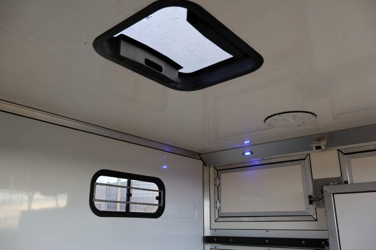 Van per Cavalli Cavalcar MASTER CAVALCAR 2022 Occasione