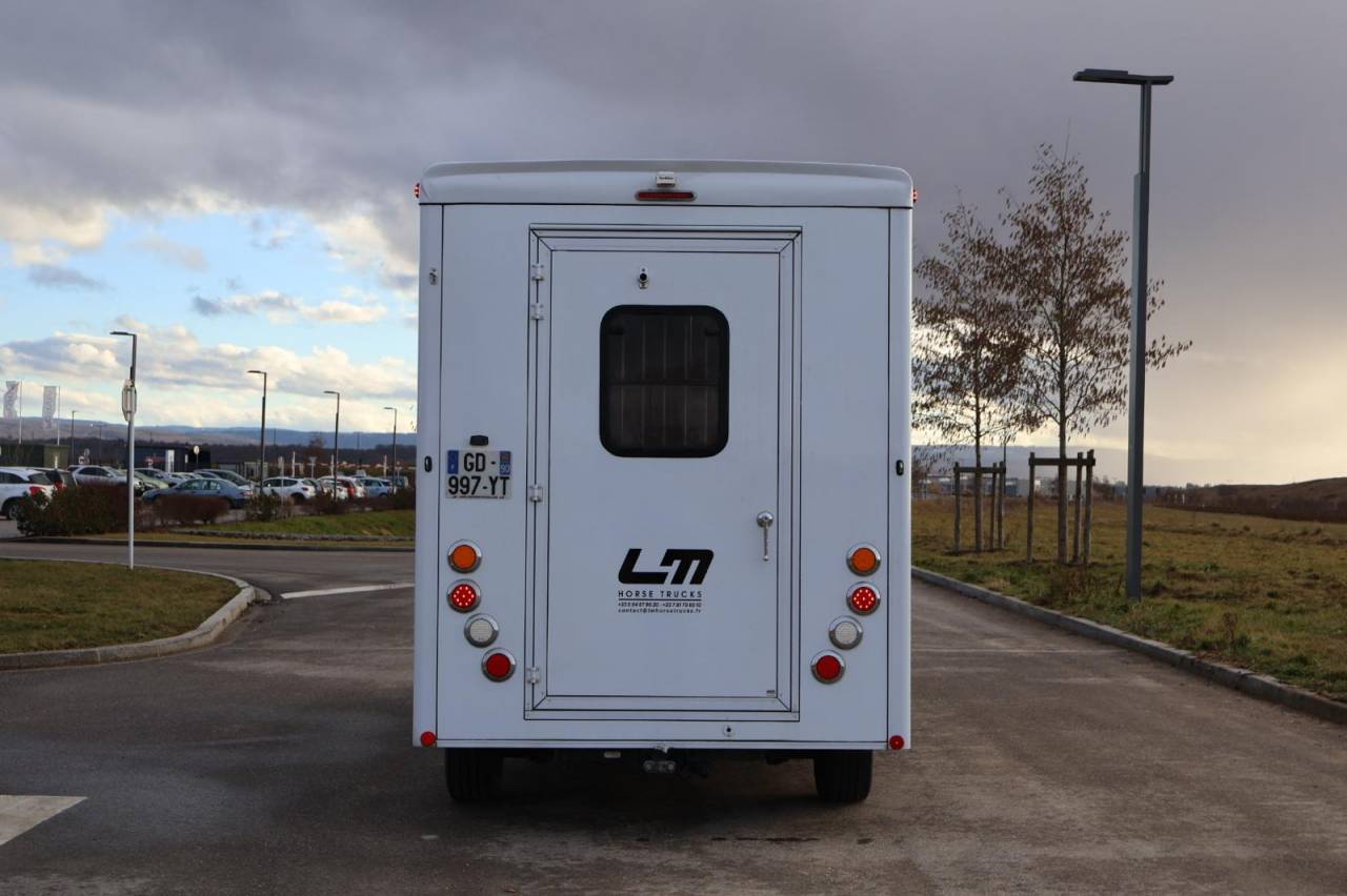 Van per Cavalli Cavalcar MASTER CAVALCAR 2022 Occasione