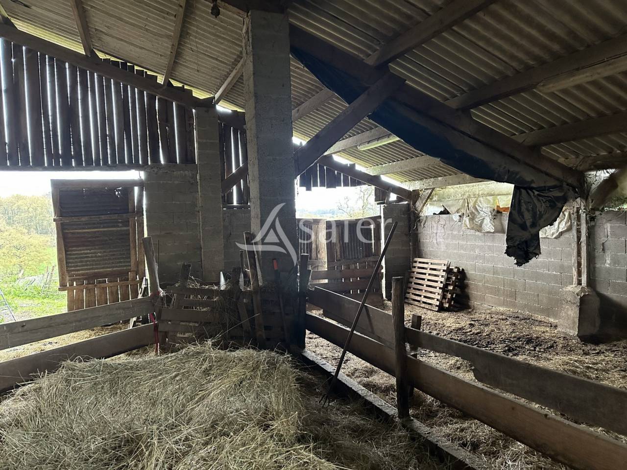 Azienda ovina In vendita Charente