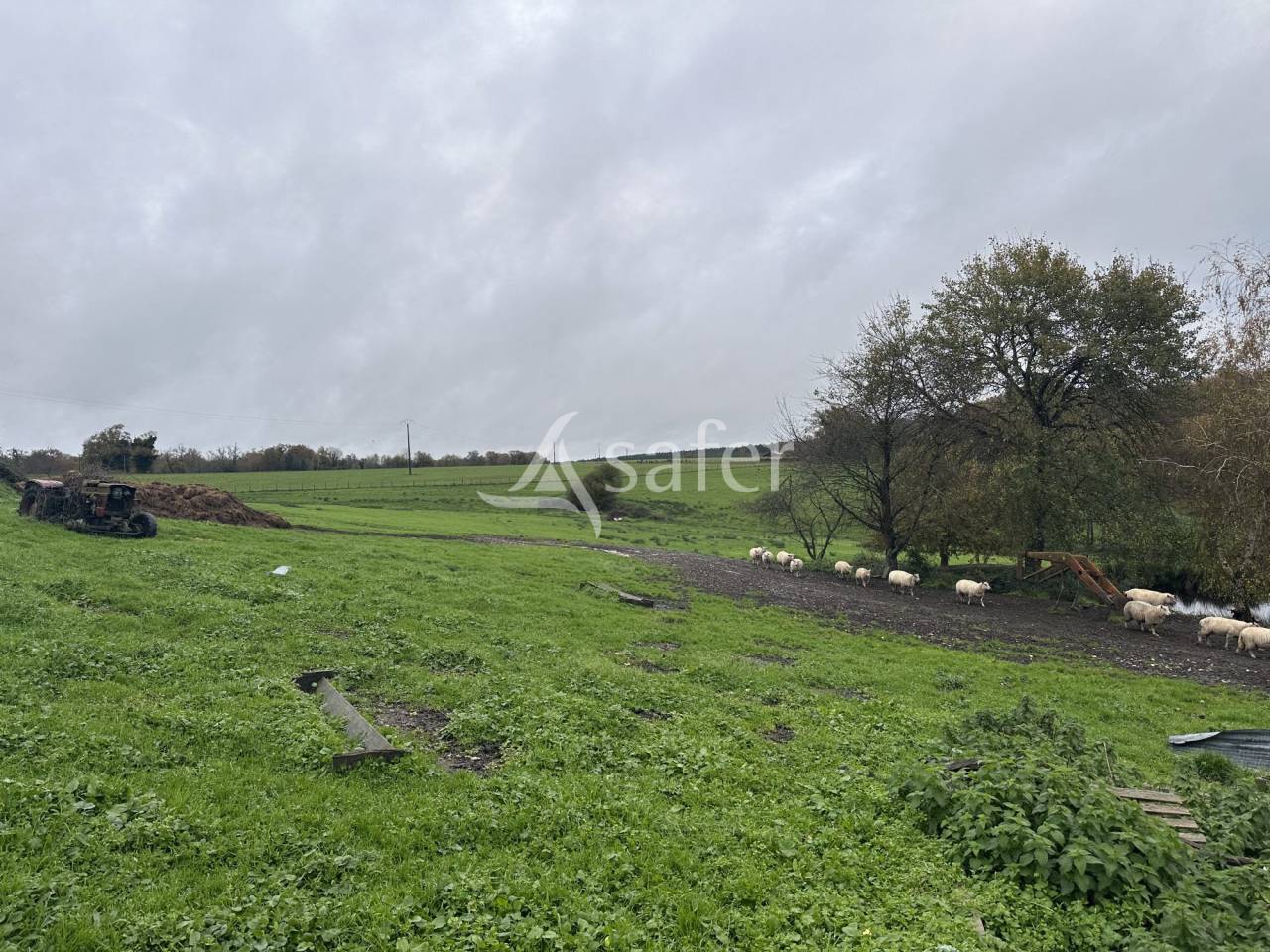 Azienda ovina In vendita Charente