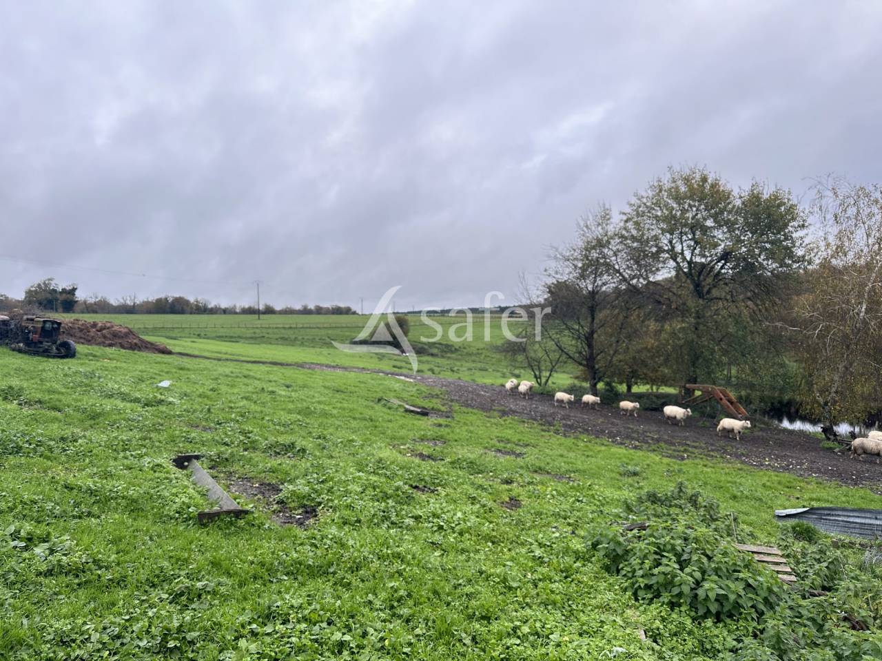 Azienda ovina In vendita Charente