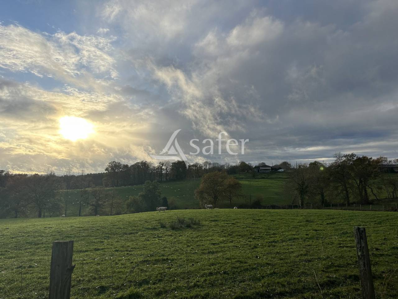 Azienda ovina In vendita Charente