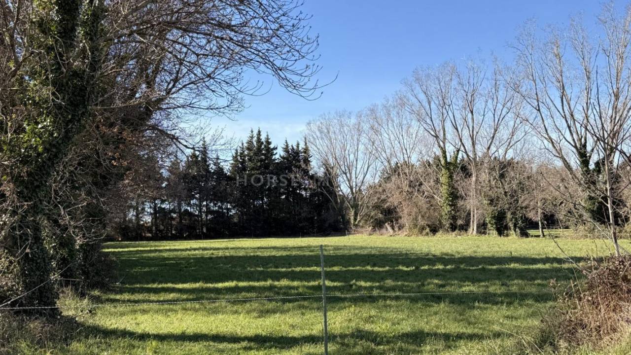 Propriet&agrave; equestre In vendita Bouches-du-Rh&ocirc;ne
