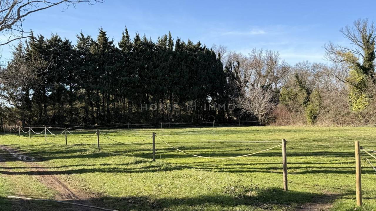 Propriet&agrave; equestre In vendita Bouches-du-Rh&ocirc;ne