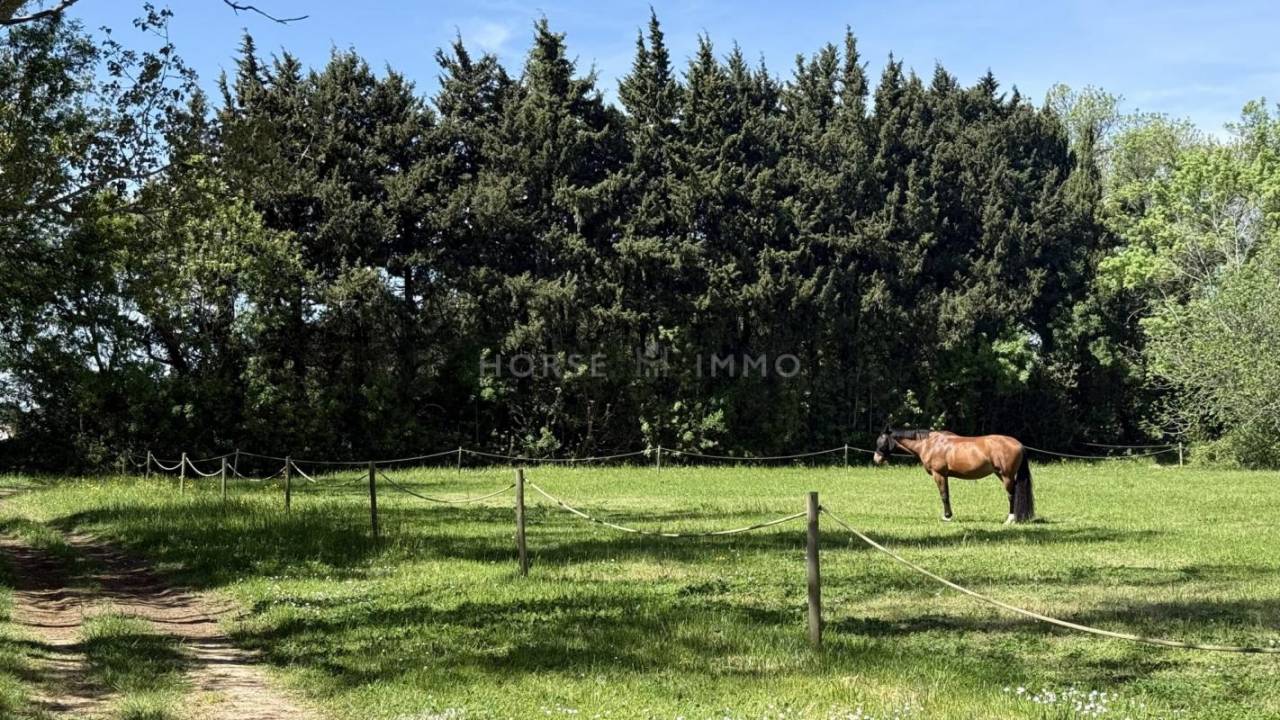 Propriet&agrave; equestre In vendita Bouches-du-Rh&ocirc;ne