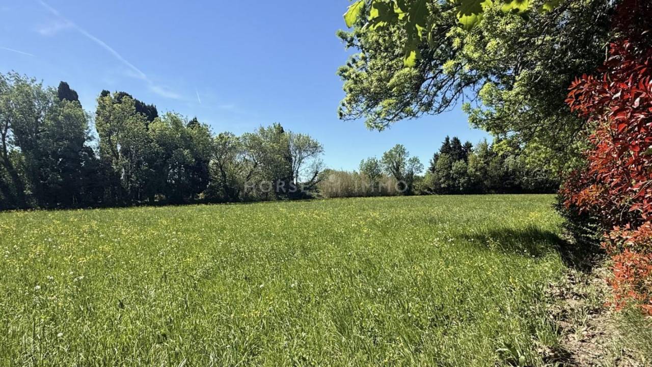 Propriet&agrave; equestre In vendita Bouches-du-Rh&ocirc;ne