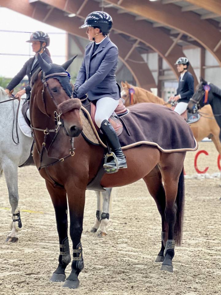 Cavalla Sella Francese In vendita 2018 Baio scuro ,  Diego de Blondel