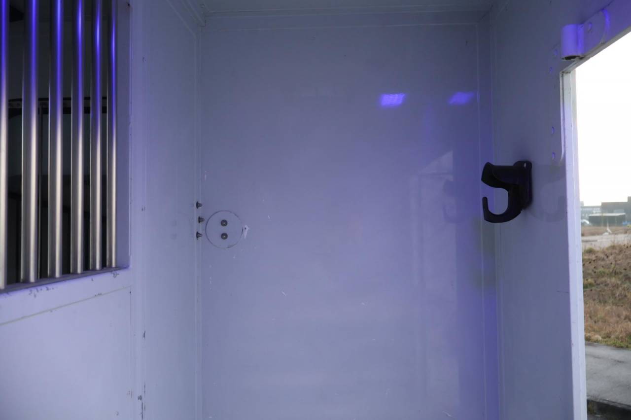 Van per Cavalli MTM FILOVAN MASTER  2016 Occasione