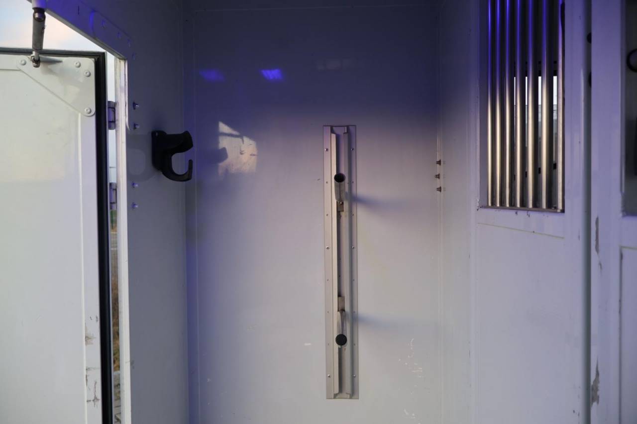 Van per Cavalli MTM FILOVAN MASTER  2016 Occasione