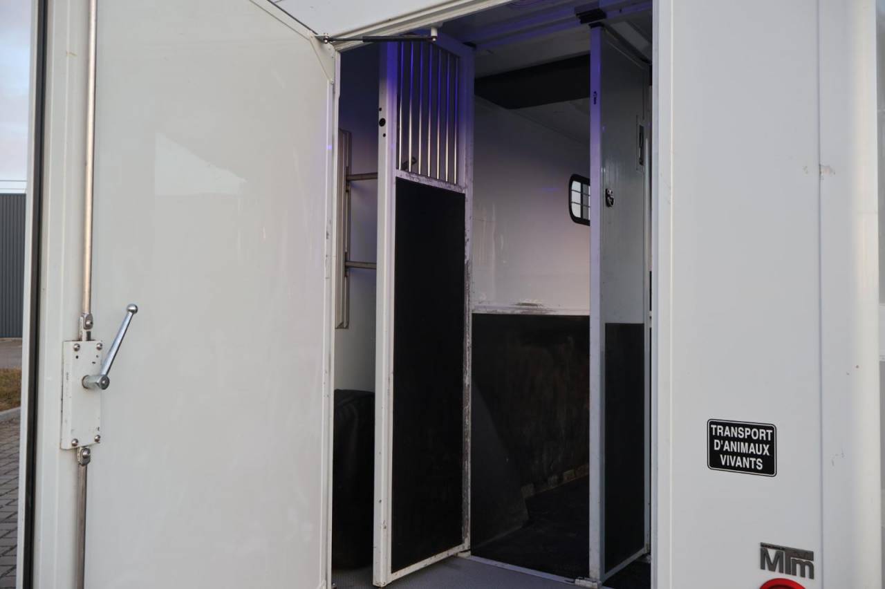 Van per Cavalli MTM FILOVAN MASTER  2016 Occasione