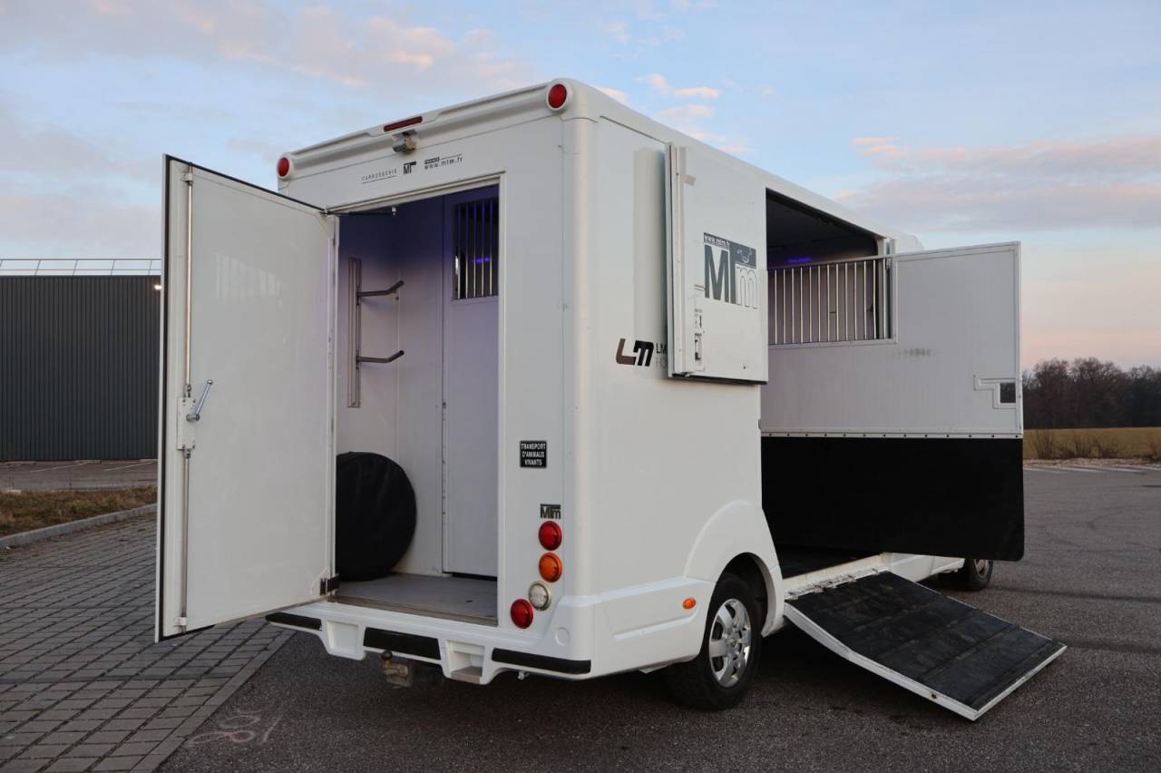 Van per Cavalli MTM FILOVAN MASTER  2016 Occasione