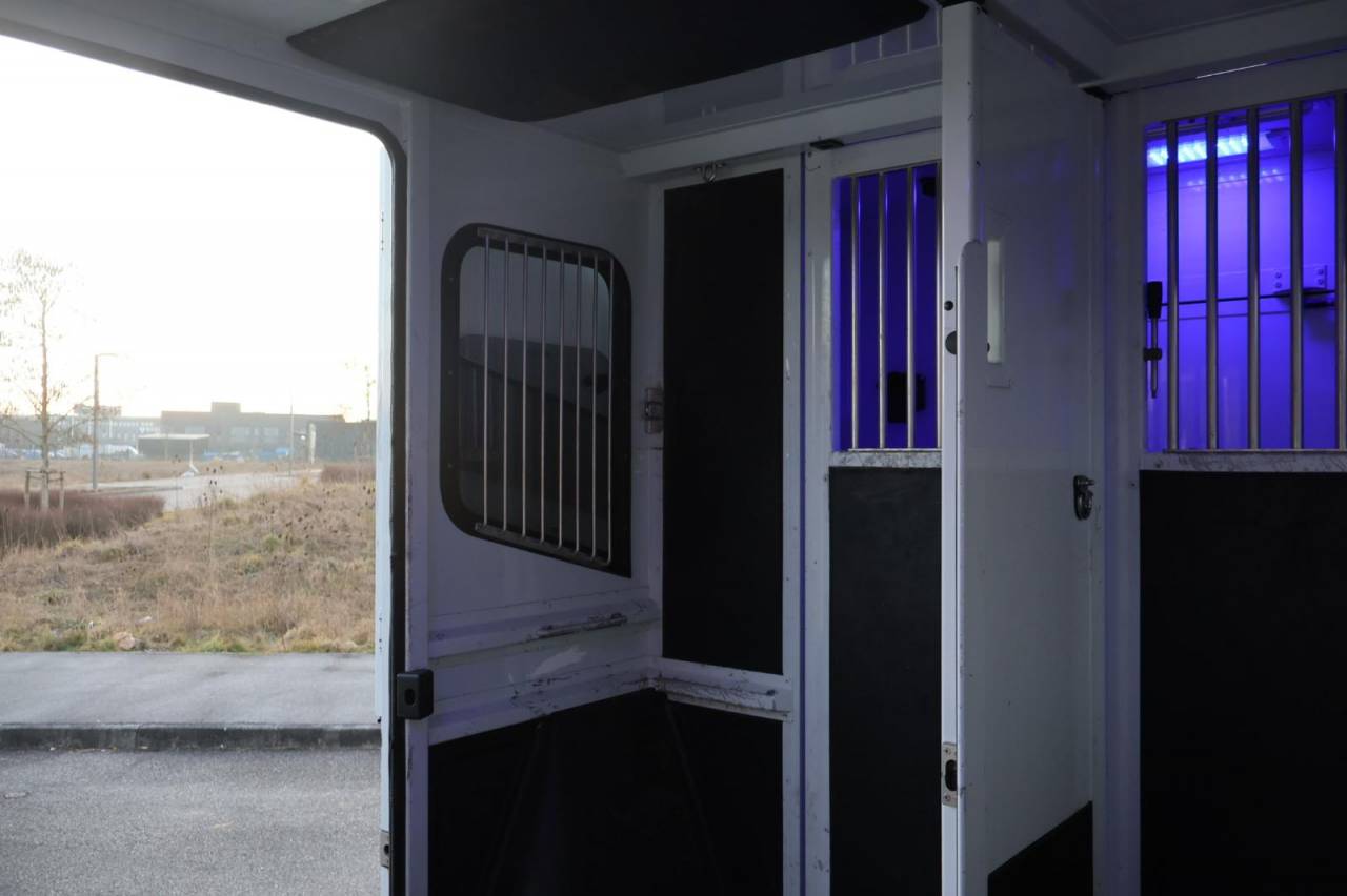 Van per Cavalli MTM FILOVAN MASTER  2016 Occasione