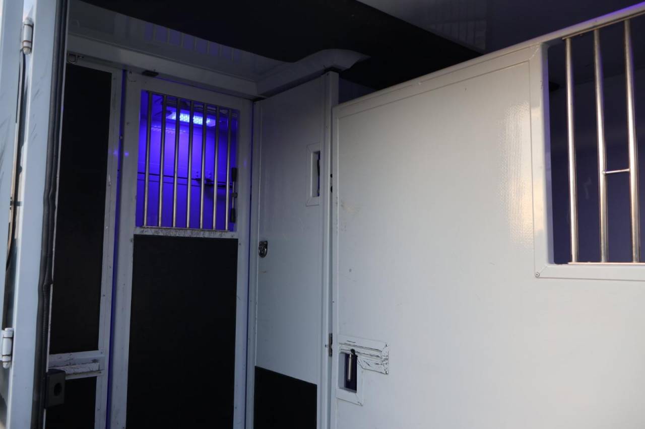 Van per Cavalli MTM FILOVAN MASTER  2016 Occasione