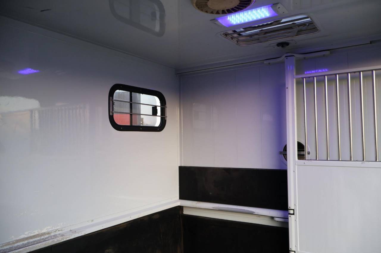 Van per Cavalli MTM FILOVAN MASTER  2016 Occasione