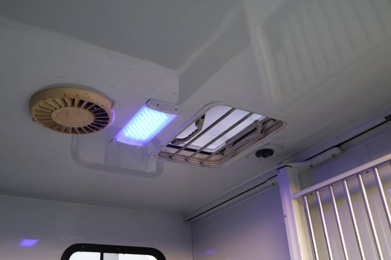 Van per Cavalli MTM FILOVAN MASTER  2016 Occasione