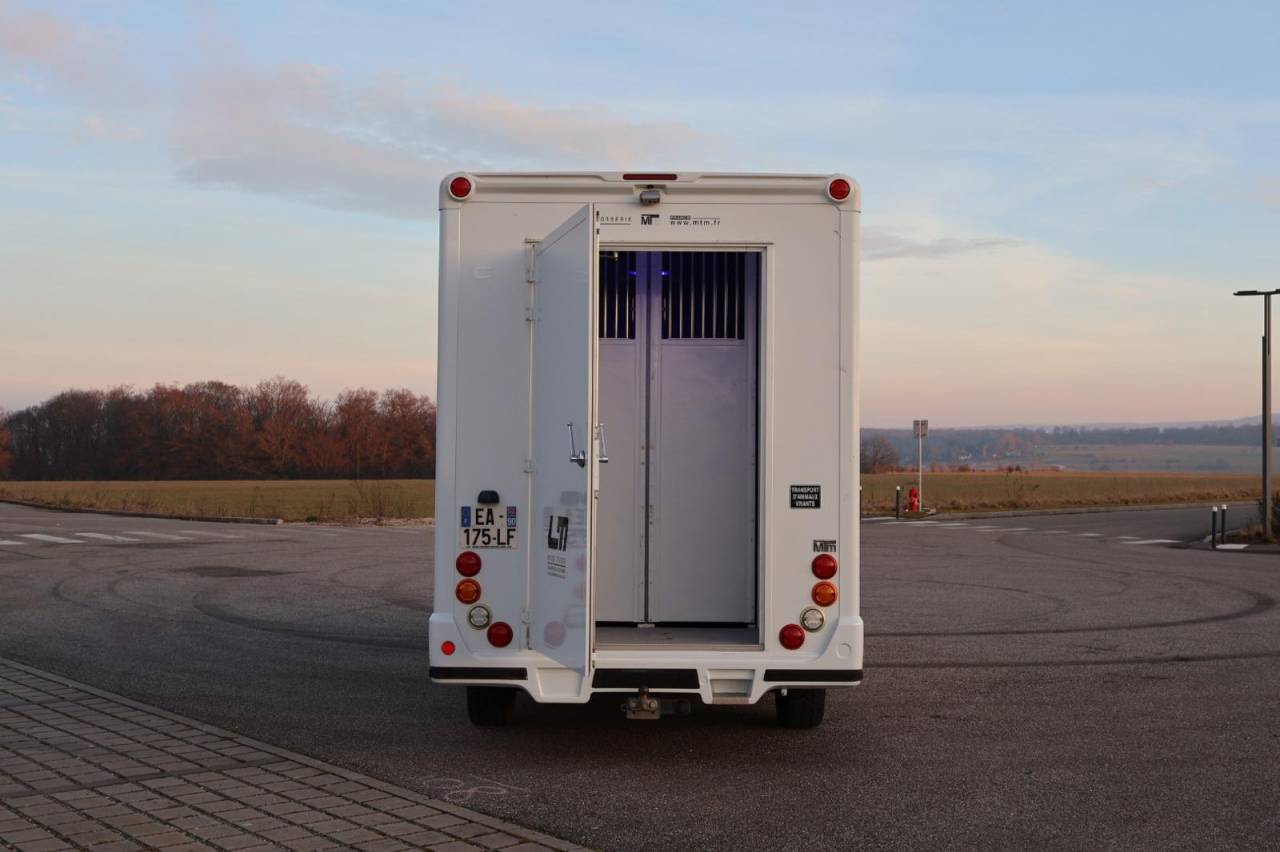 Van per Cavalli MTM FILOVAN MASTER  2016 Occasione