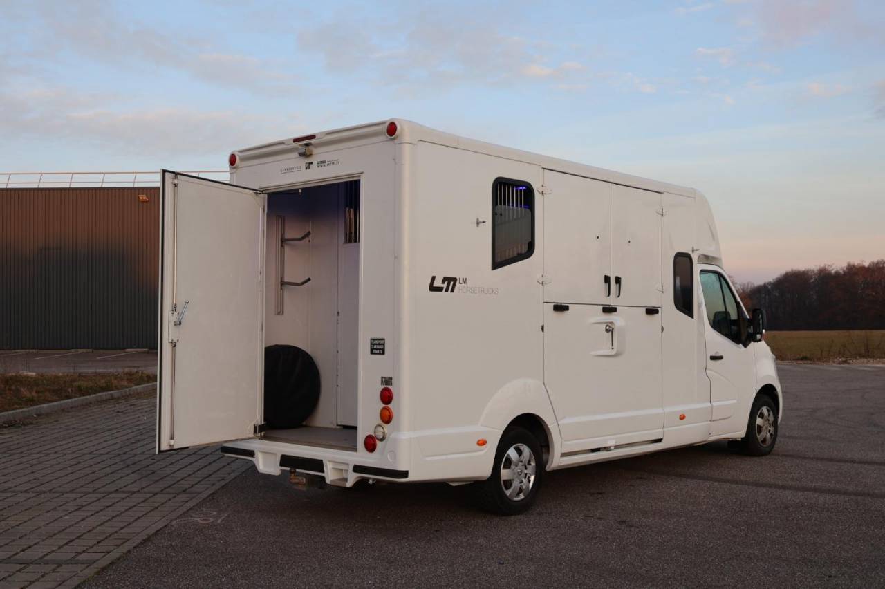 Van per Cavalli MTM FILOVAN MASTER  2016 Occasione