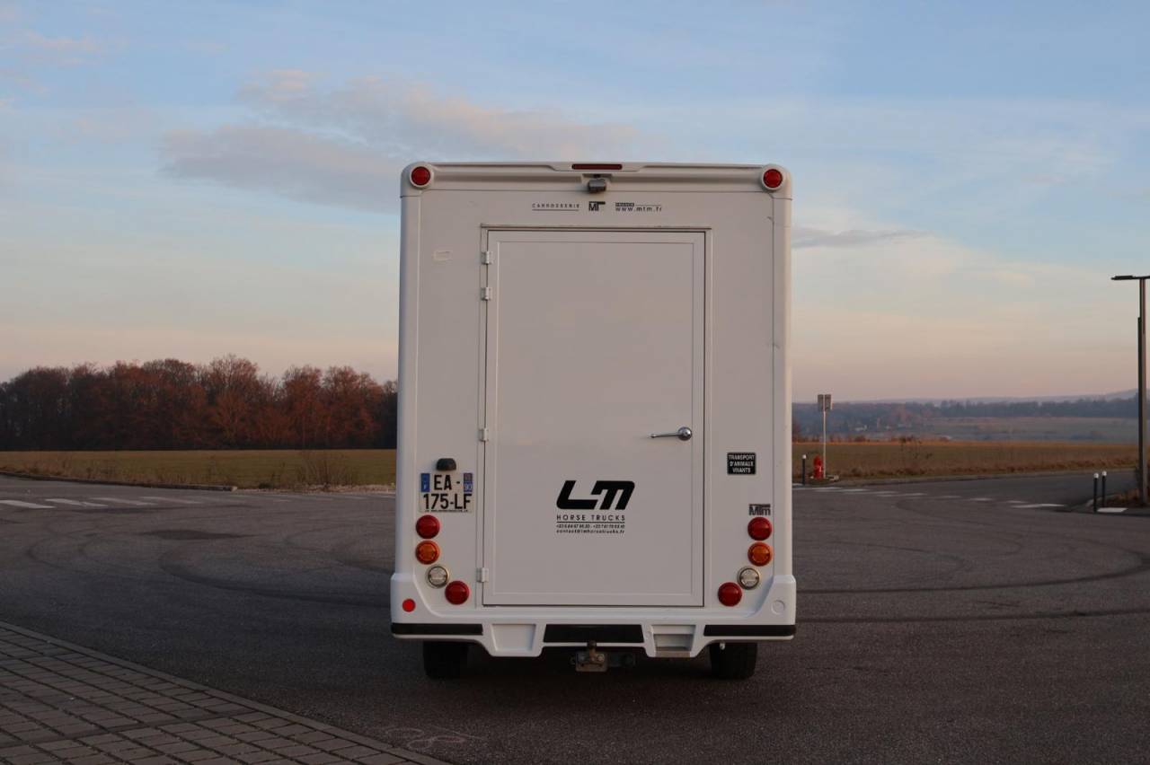 Van per Cavalli MTM FILOVAN MASTER  2016 Occasione