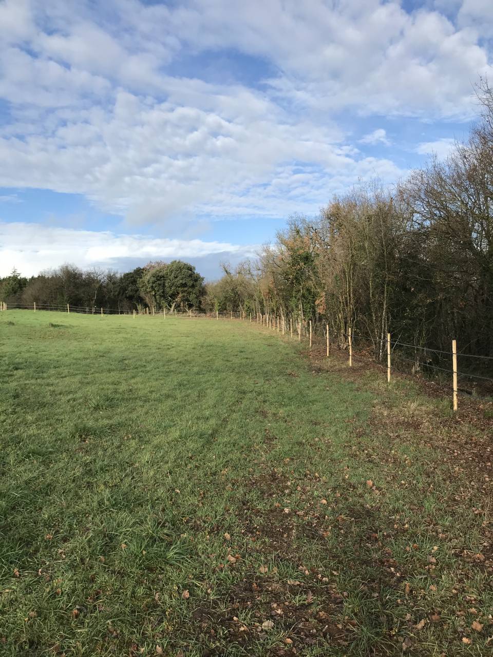 Propriet&agrave; equestre In vendita Charente