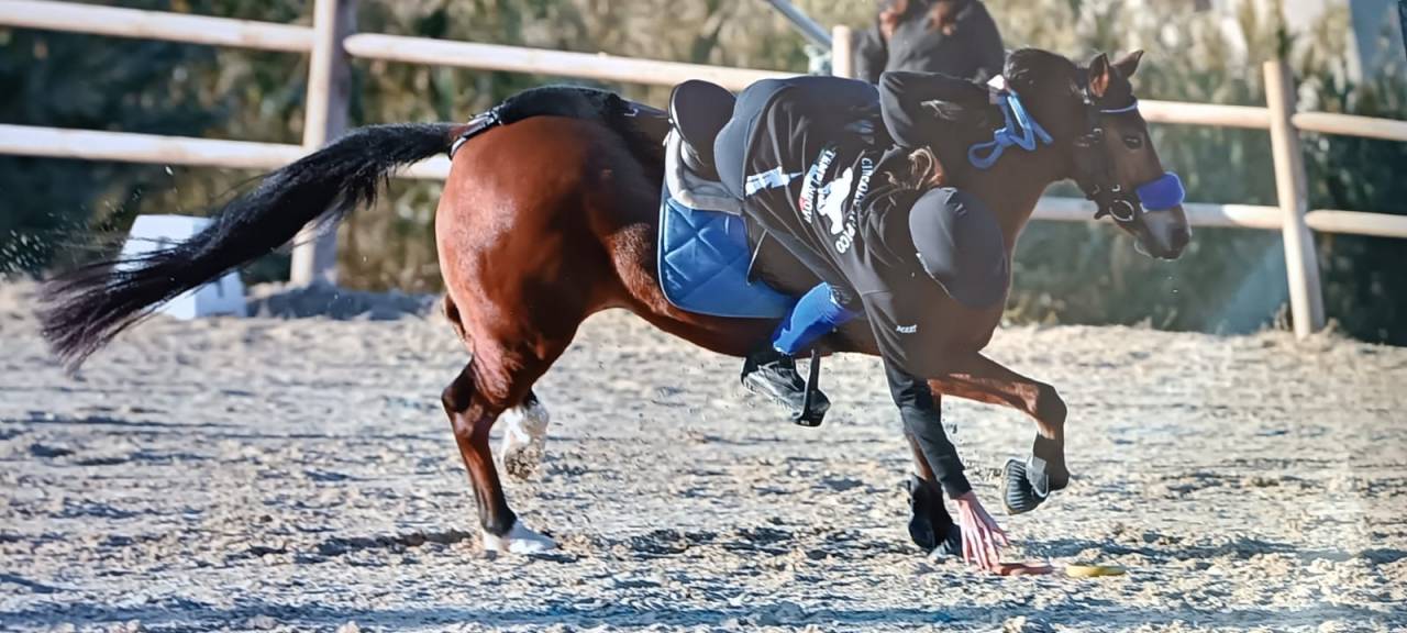 pony da mounted games