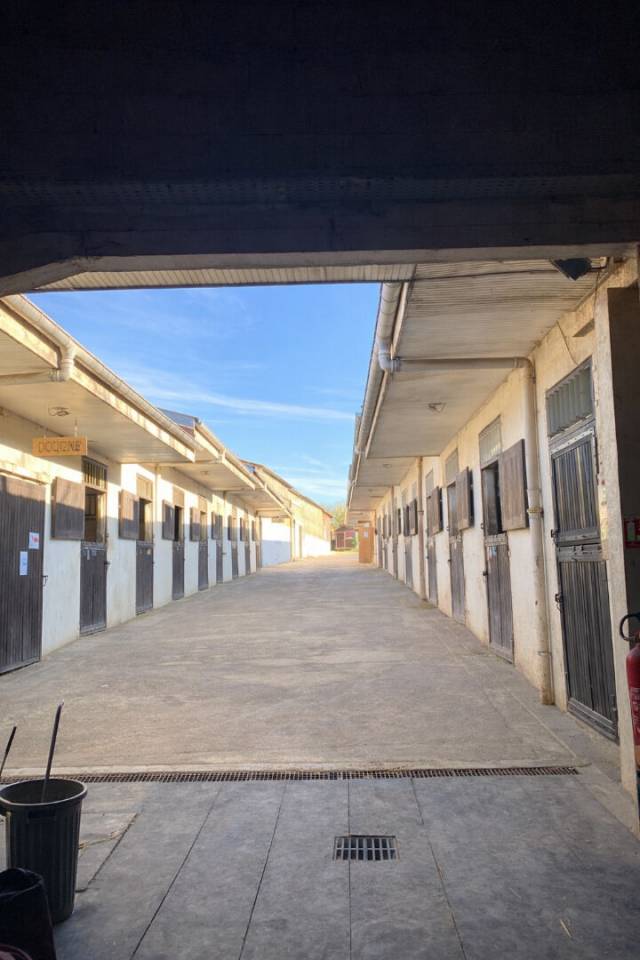 Scuderia per proprietari In vendita Meurthe-et-Moselle