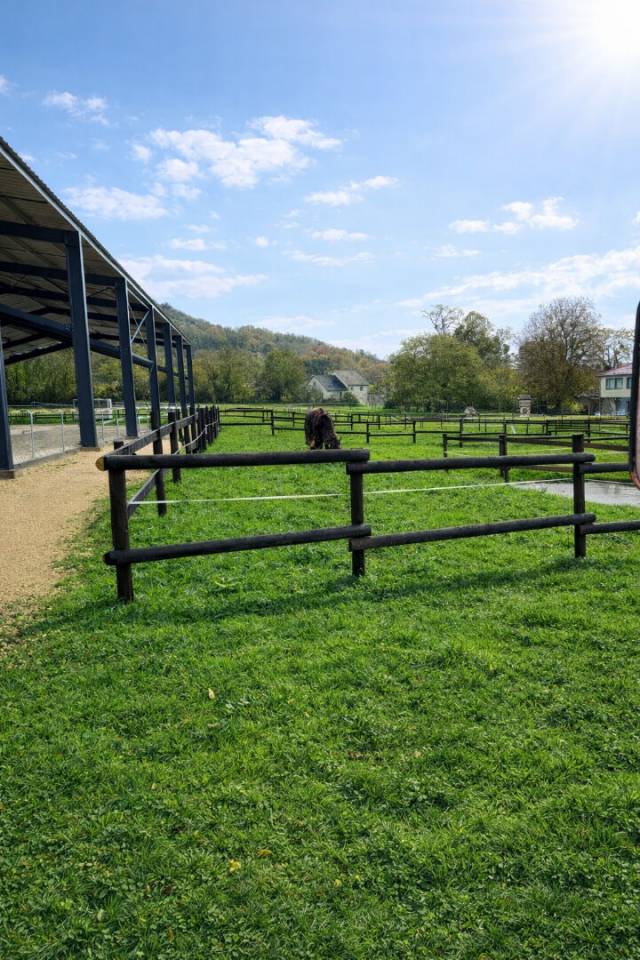 Scuderia per proprietari In vendita Meurthe-et-Moselle