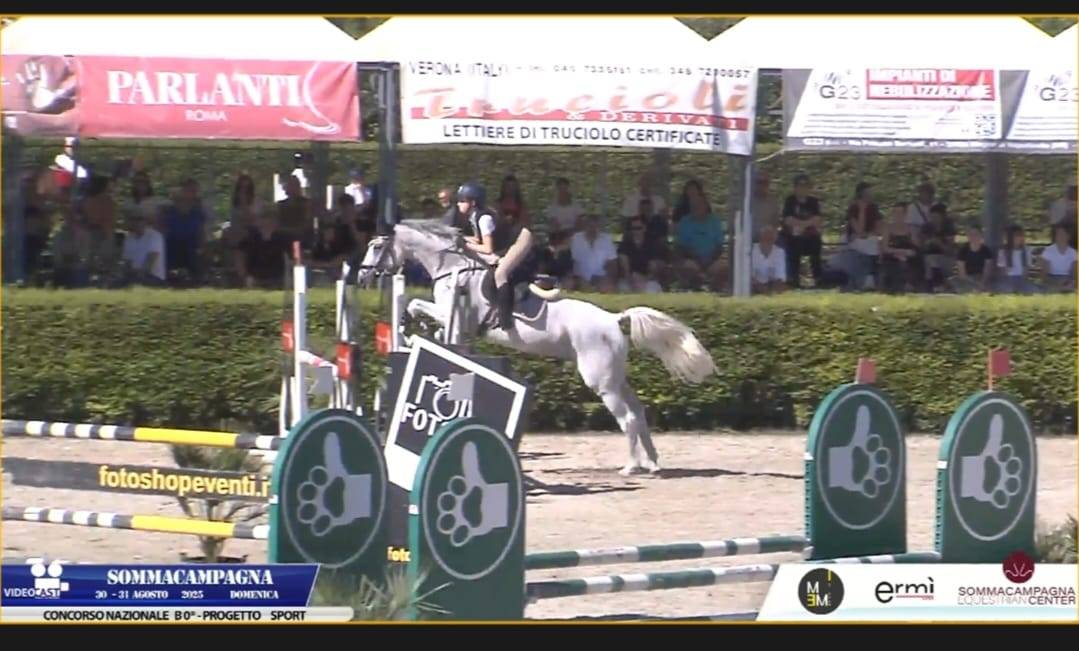 Cavalla salto ostacoli 