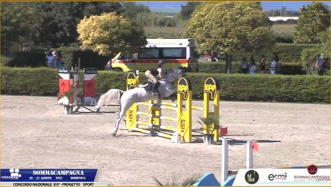 Cavalla salto ostacoli 