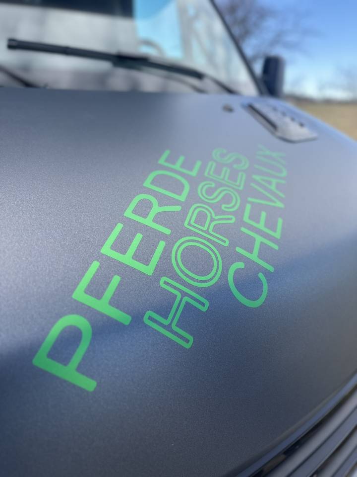 Van per Cavalli Iveco IVECO 0 Nuovo