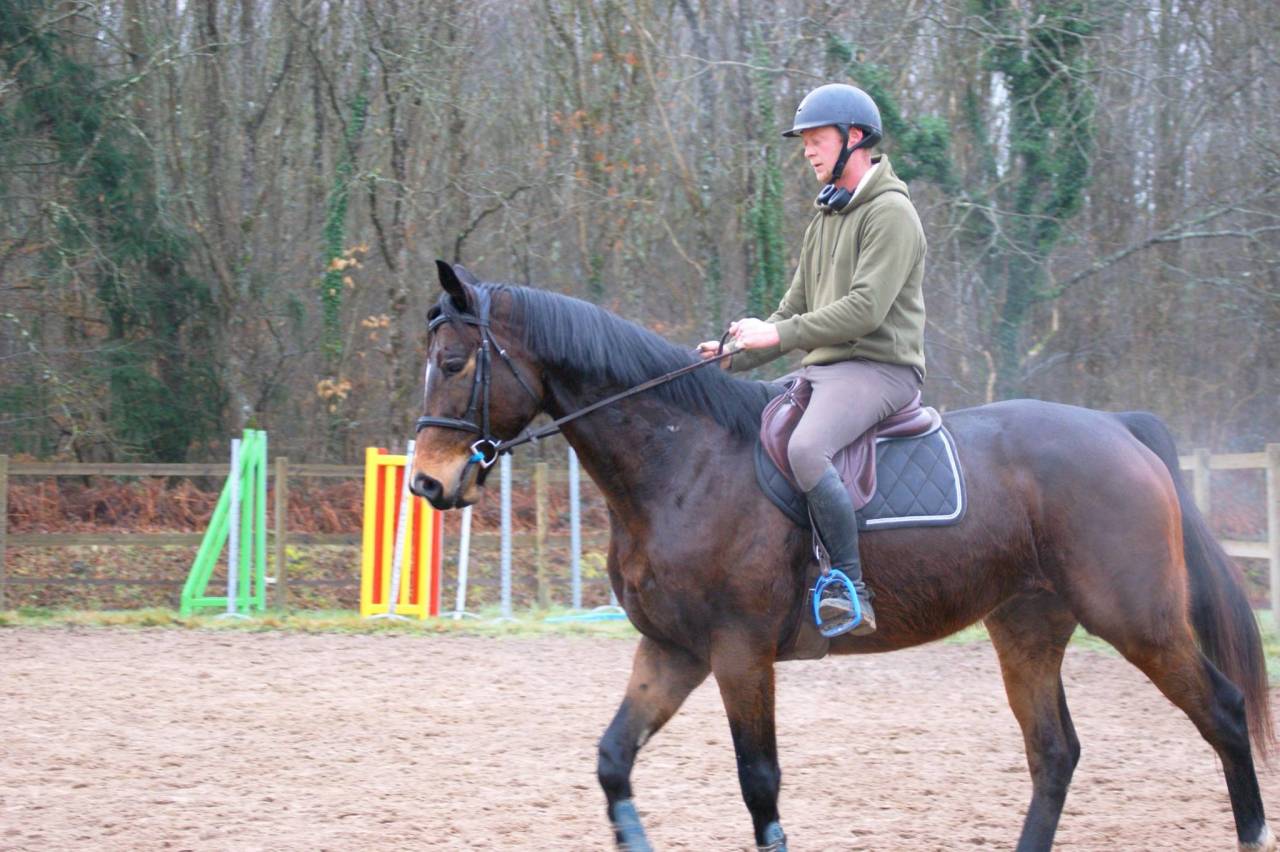 Castrone Purosangue In vendita 2020 Baio