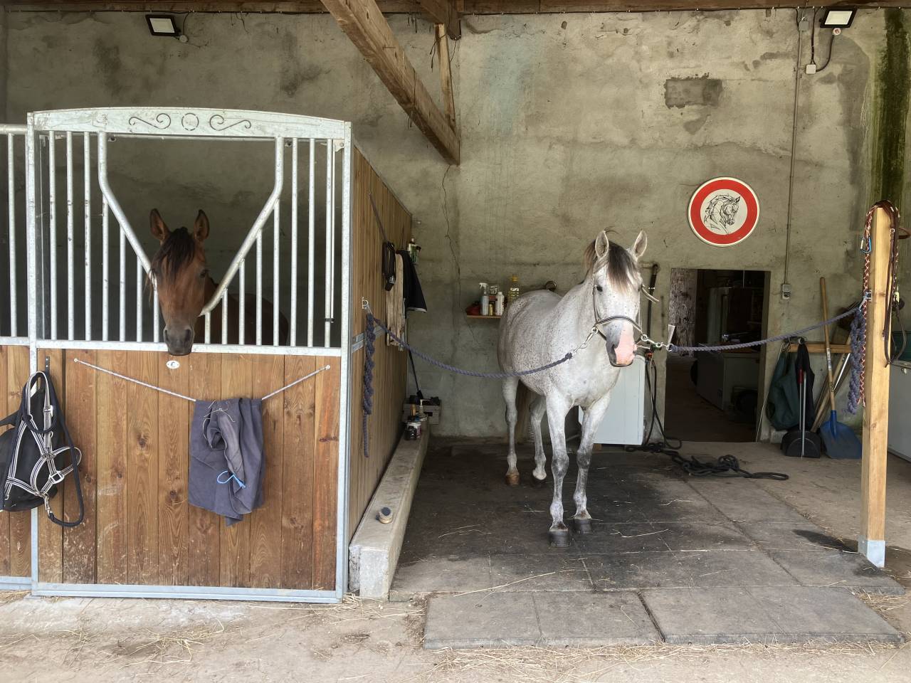 Bella dimora equestre In vendita Charente