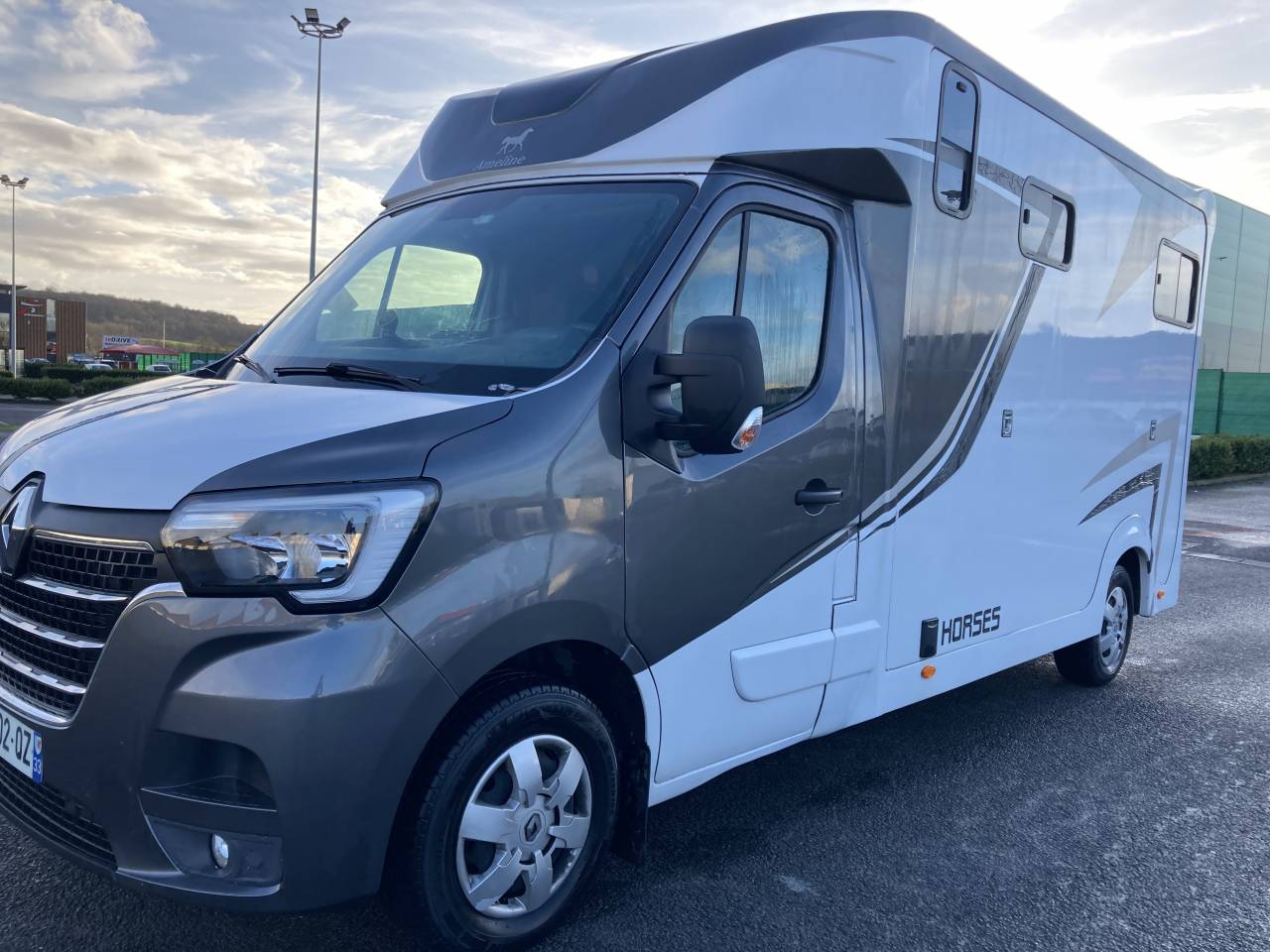 Van per Cavalli Ameline Master 3  2021 Occasione