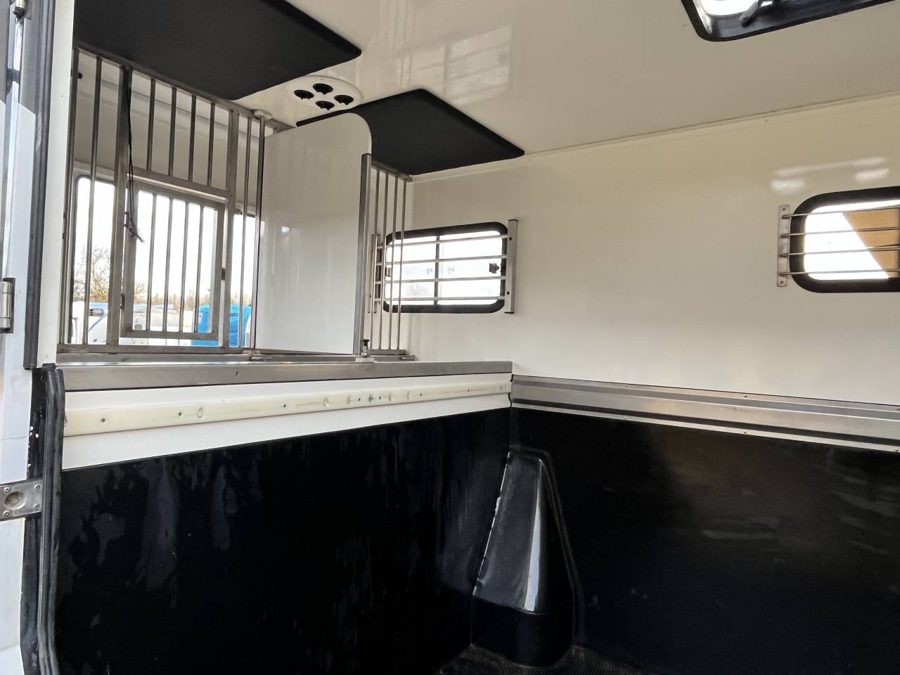 Van per Cavalli Ameline Master 3  2021 Occasione