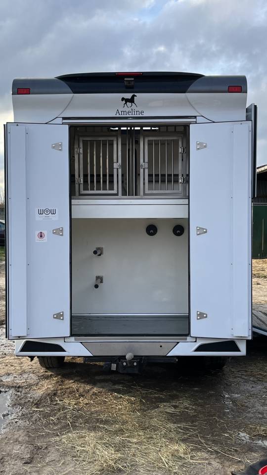 Van per Cavalli Ameline Master 3  2021 Occasione