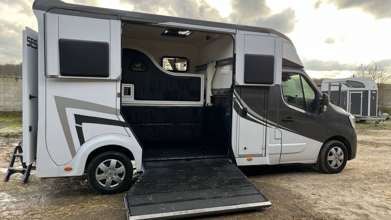 Van per Cavalli Ameline Master 3  2021 Occasione